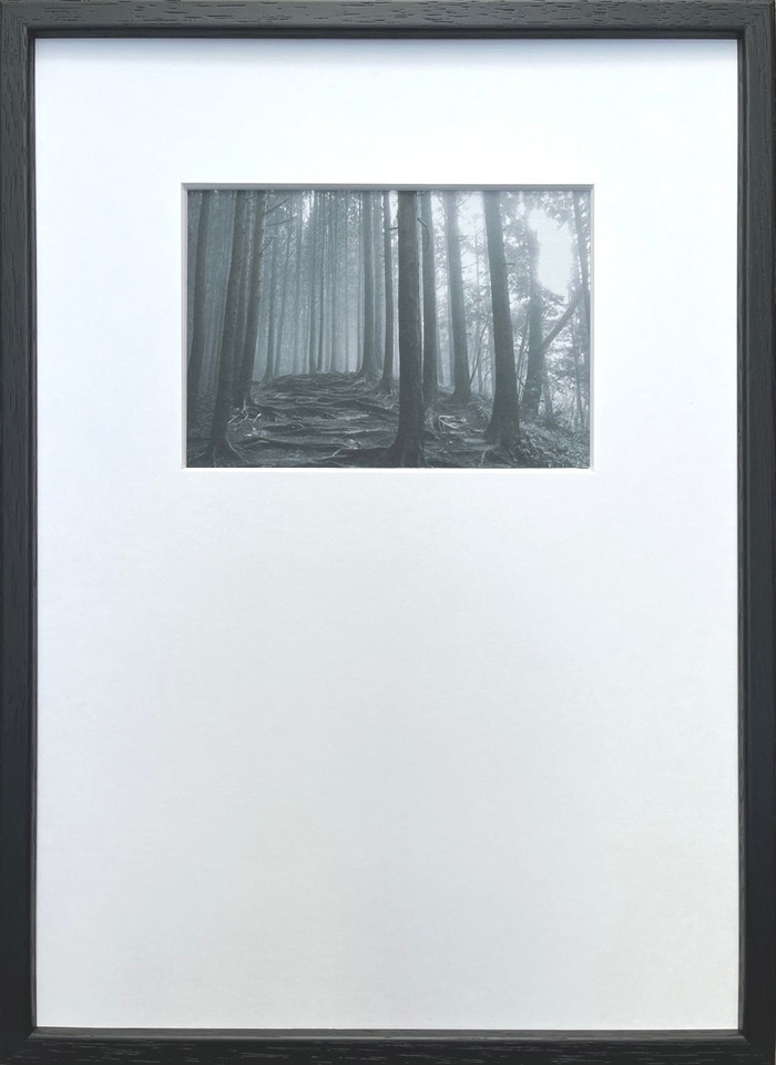 フォトグラフィ アート 林 Photography art 林 275x382x20 snw-ipg-53264 アートパネル アートボード 壁紙 装飾フィルム 送料無料 北欧 モダン 家具 インテリア ナチュラル テイスト 新生活 オススメ おしゃれ 後払い