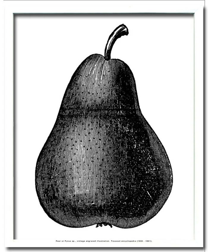 ペア 梨 ブラック Pear black 430x530x30 snw-ipf-52888 アートパネル アートボード 壁紙 装飾フィルム 送料無料 北欧 モダン 家具 インテリア ナチュラル テイスト 新生活 オススメ おしゃれ 後払い|家具・インテリアのジェンコ