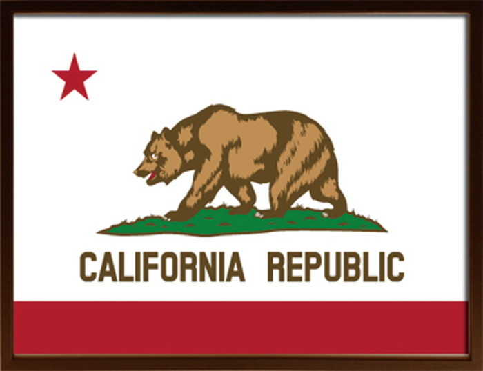 アートフレーム カリフォルニアフラッグ Art Frame California Flag 725x525x30 snw-isf-52295 アートパネル アートボード 壁紙 装飾フィルム 送料無料 北欧 モダン 家具 インテリア ナチュラル テイスト 新生活 オススメ おしゃれ 後払い|家具・インテリアのジェンコ