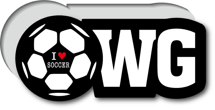 Jサッカーサポートステッカー JL-00023-NS.JPG