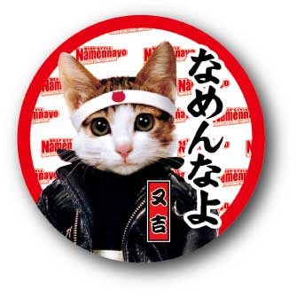 楽天市場】なめ猫 ドライブレコーダー ステッカー 煽るんじゃね〜よ