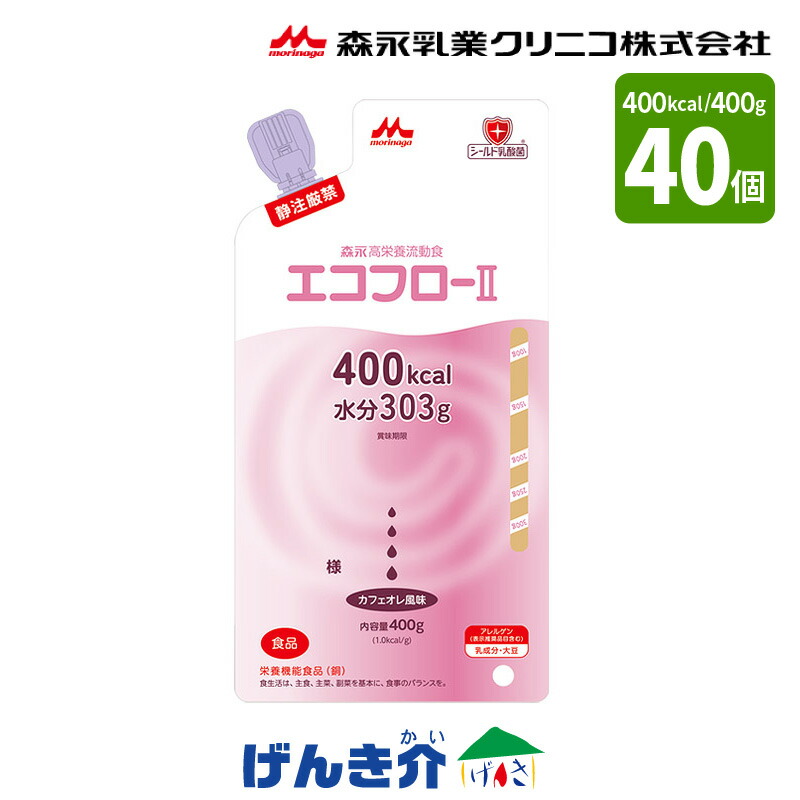 【2箱セット】 エコフロー2 バッグ とろみ状 カフェオレ風味 400g×20個×2箱セット熱量400kcal 森永 クリニコ カフェオレ風味 経管栄養 流動食 食品|介護ストアげんき介 店