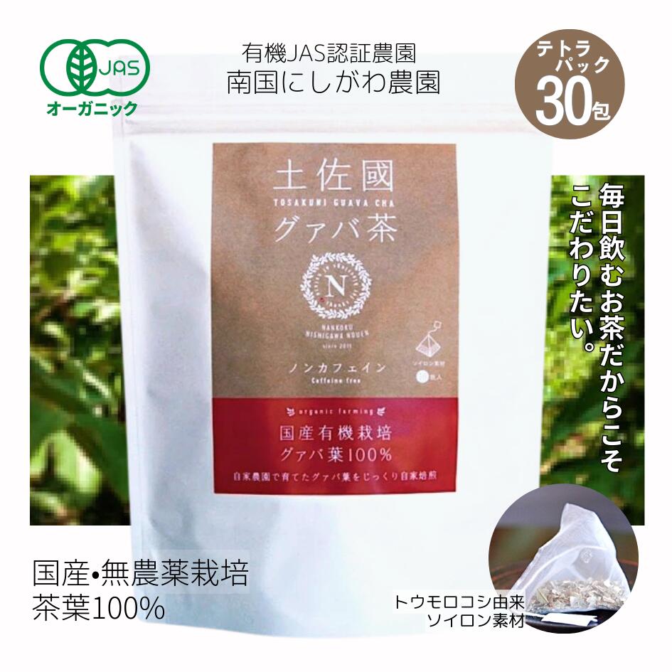 お徳用‼ポストイン【まいにちグアバ茶 ティーバッグ2ℊ×90包入り】 お徳用‼ポストイン【まいにちグアバ茶 ティーバッグ2ℊ×90包