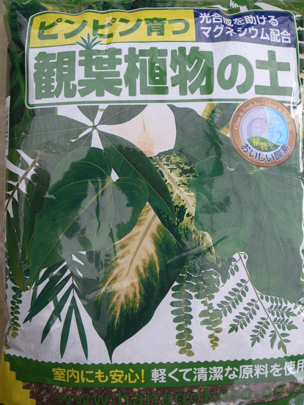 楽天市場 花ごころ 観葉植物の土 5l 室内観葉植物の植え替えに最適 光合成を助けるマグネシューム配合で元気に育ちます 元肥も入って配合の手間もありません 販売 通販 種類 母の日 花 ガーデニング岐阜緑園