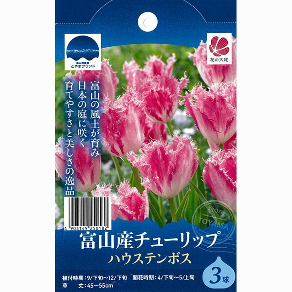 チューリップ様 リクエスト 4点 まとめ商品 チューリップ様 リクエスト 4点 まとめ商品 - メルカリ