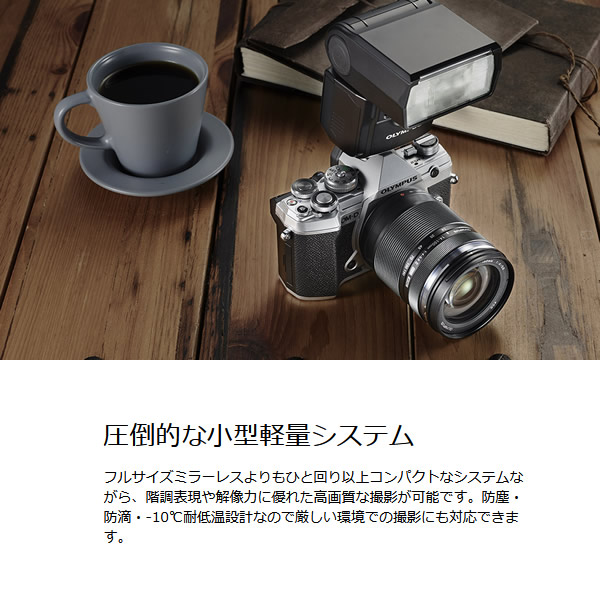 手数料安い 4 25限定 最大1000円offｸｰﾎﾟﾝ発行 Olympus ミラーレス一眼レフカメラ Om D E M5 Mark Iii ボディ シルバー Kk9n0d18p ぎおん店 珍しい Neostudio Ge