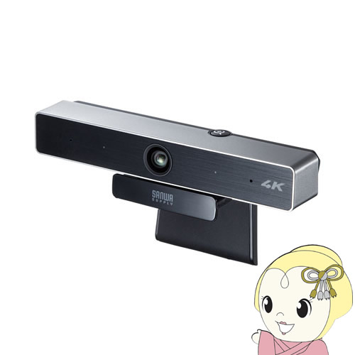 サンワサプライ 会議用ワイドレンズカメラ CMS-V52S【KK9N0D18P】