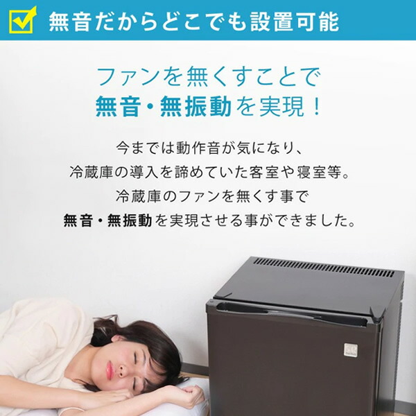 最大60%OFFクーポン ＳＵＮＲＵＣＫ ペルチェ式 20リットル 1ドア電子冷蔵庫 冷庫さん cute ブラック SR-R2001K  pacific.com.co