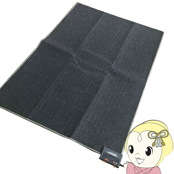 【4/15は期間限定ｸｰﾎﾟﾝ発行】【在庫あり】テクノス ホットカーペット1.5畳　本体 180×125cm TWA-1502B 折り畳み収納 ダニ退治 切り忘れ防止 6時間オフタイマー【KK9N0D18P】
