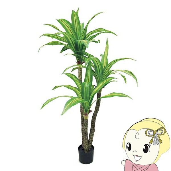 観葉植物 大型 フェイクグリーン 組立式 CT触媒 アーティフィシャルグリーン ドラセナ キシマ KH-61395【KK9N0D18P】