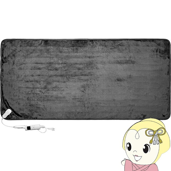 【在庫あり】電気毛布 エアーフロー Air Flow 電気敷き毛布 150×70cm フランネル素材 AW-FSM60【KK9N0D18P】