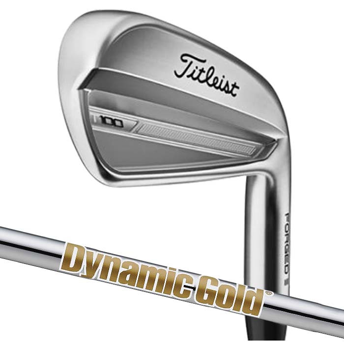 楽天市場】【メーカーカスタム】Titleist タイトリスト 2023 T100 アイアン NS. PRO 105T 単品 : ゴルフショップ  ウィザード