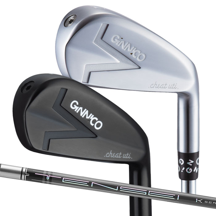 (カスタムクラブ) イオンスポーツ ジニコ EON GINNICO IRON UTILITY TENSEI PRO PRO 1K Hybrid アイアン型ユーティリティ