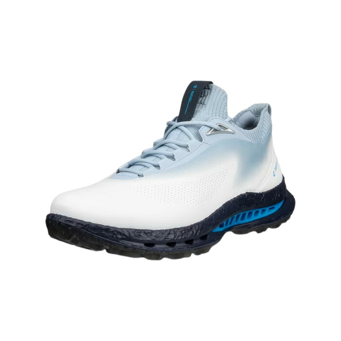 エコー ecco 132604-60611 BIOM C5 スパイクレス ゴルフシューズ メンズ 紐 GORE-TEX 快適な履き心地