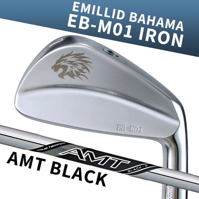 【お買い物マラソン限定!2人に1人最大P100%バック】(カスタムアイアン) エミリッドバハマ EB-M01 IRON AMT BLACK 6I~PW(5本セット) EMILLID BAHAMA|ゴルフショップ ウィザード