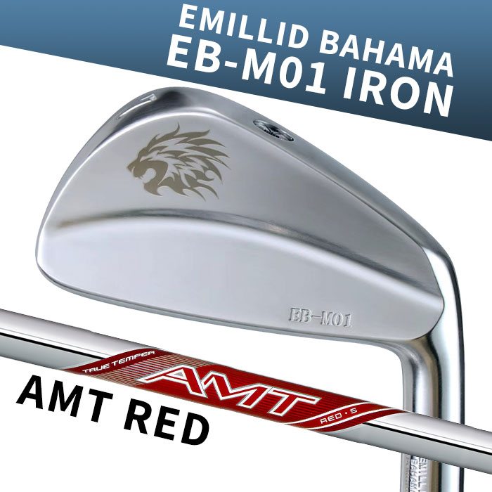 【お買い物マラソン限定!2人に1人最大P100%バック】(カスタムアイアン) エミリッドバハマ EB-M01 IRON AMT RED 6I~PW(5本セット) EMILLID BAHAMA|ゴルフショップ ウィザード