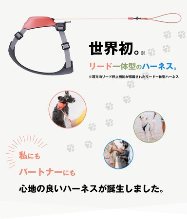 テールハイ Xlサイズ 伸縮リード 一体型 ハーネス セット Y字型デザイン 可愛い おしゃれ 小型犬 中型犬 大型犬 超大型犬 ブランド 犬具 胴輪 犬用 多頭 ベルト 簡単装着 Tailhigh 訳ありセール 格安