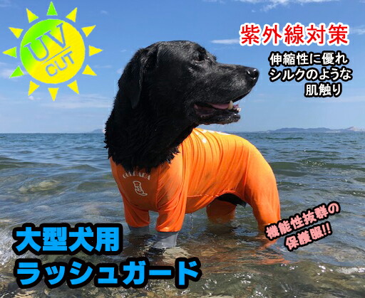 楽天市場】発売記念価格！大型犬用 GOLPARA ラッシュガード 雪遊び スノースーツ ウエットスーツラッシュガード ペット用（ドッグ）UVカット  紫外線対策に！水着保護服 介護服 大型犬の服 つなぎ ロンパース 冬服 夏服 : GOLPARA 〜ゴルパラ〜