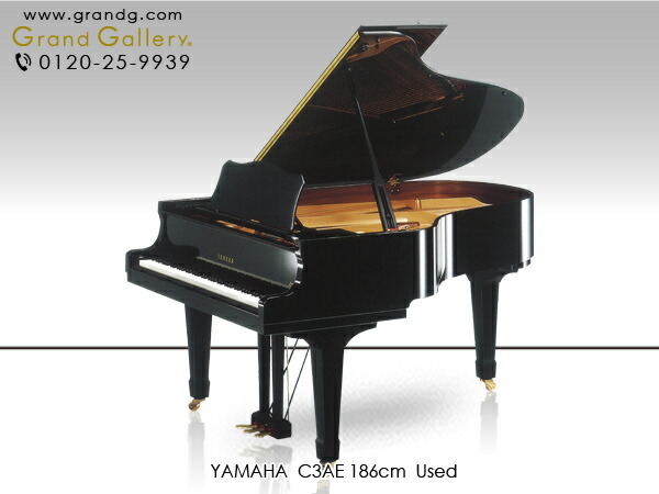 YAMAHA(ヤマハ)C3AE