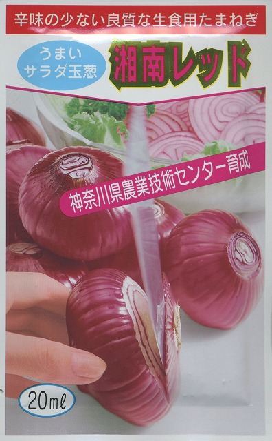 楽天市場】たまねぎ トップゴールド305 2dl（約25,300粒） （株