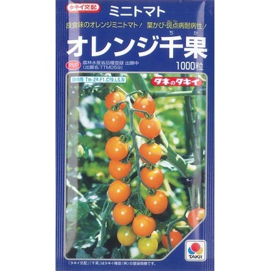 正規店仕入れ のオレンジ千果 1000粒タキイ交配花 ガーデン Diy タキイ交配 1000粒 ミニトマト 種子 ガーデニング 農業 とにかく甘い 葉かび Cf9 斑点病の耐病性をもつ 豪華で新しいの 正規店仕入れ のオレンジ千果 1000粒タキイ交配花 ガーデン Diy タキイ交配 1000粒 ミニトマト 種子 ガーデニング 農業 とにかく甘い 葉かび Cf9 斑点病の耐病性をもつ 豪華で新しいの