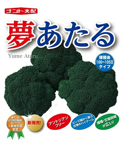 ブロッコリー 夢あたる コート5千粒 （株）ナント種苗 [種子/野菜] 13,359円