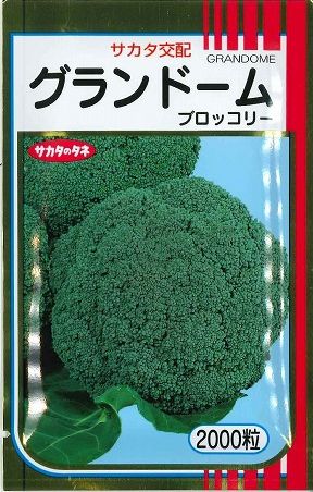 楽天市場】 SK9-099 ブロッコリー種子 【野菜種子】【サカタ交配