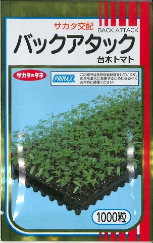 台木 (赤なす用)バックアタック 1000粒 (株)サカタのタネ [内果皮/蔬菜]