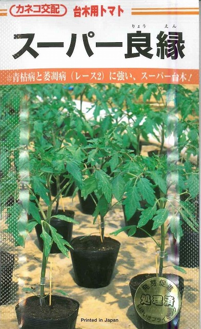 台木 (トマト用) スーパー良縁 1000粒 カネコ種苗（株） [種子/野菜]