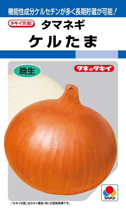 楽天市場】たまねぎ超極早生浜笑 20mlカネコ種苗株式会社 : グリーン