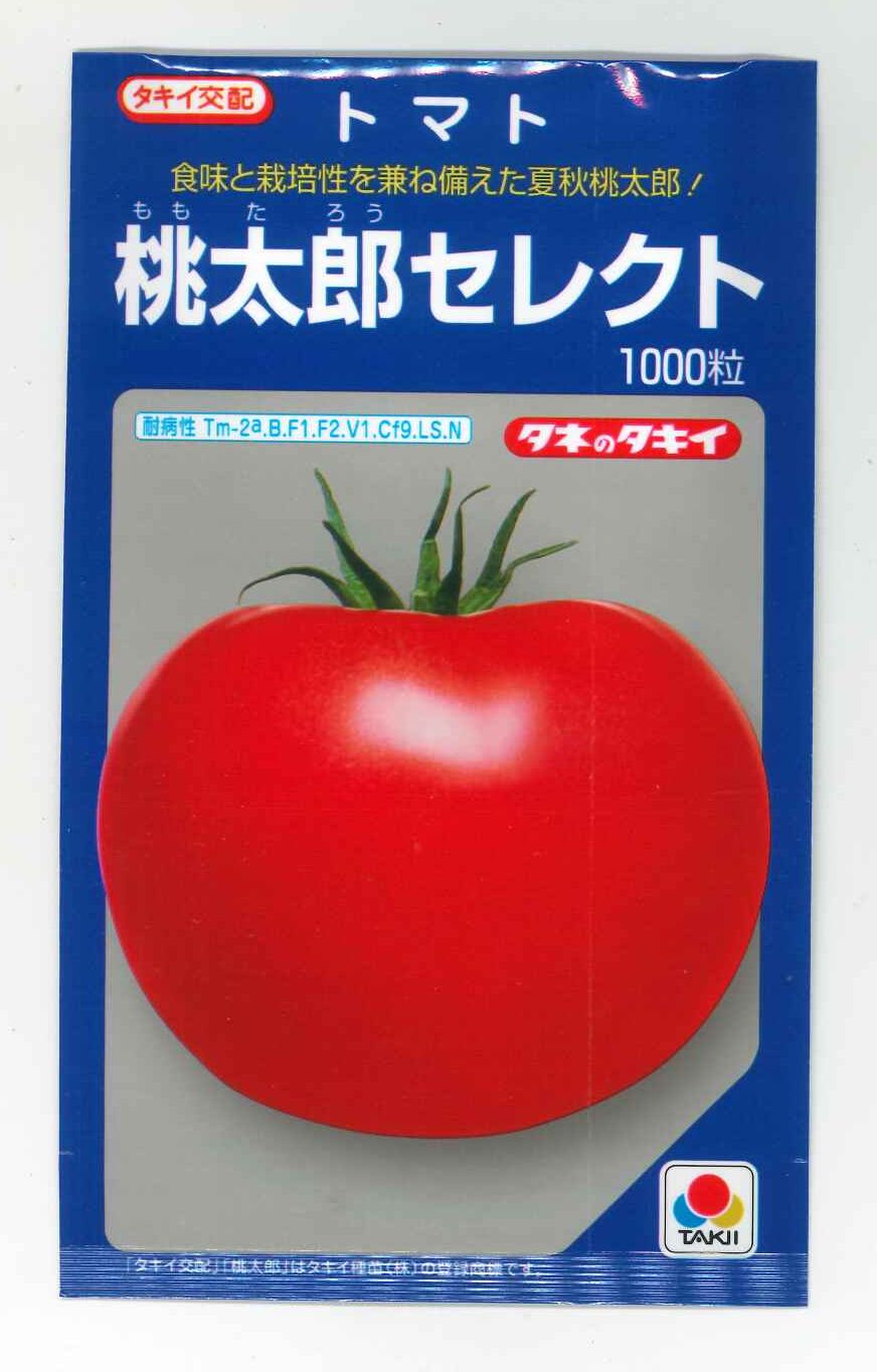 大玉トマト 桃太郎セレクト 1000粒 タキイ種苗（株） [種子/野菜]