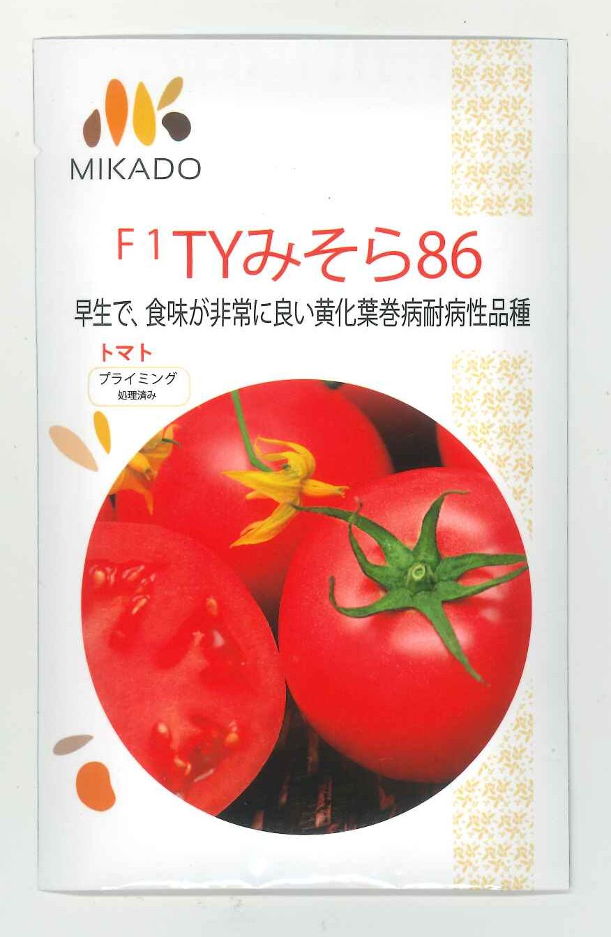 大玉トマト TYみそら86 100粒 ヴィルモランみかど（株） [種子/野菜]