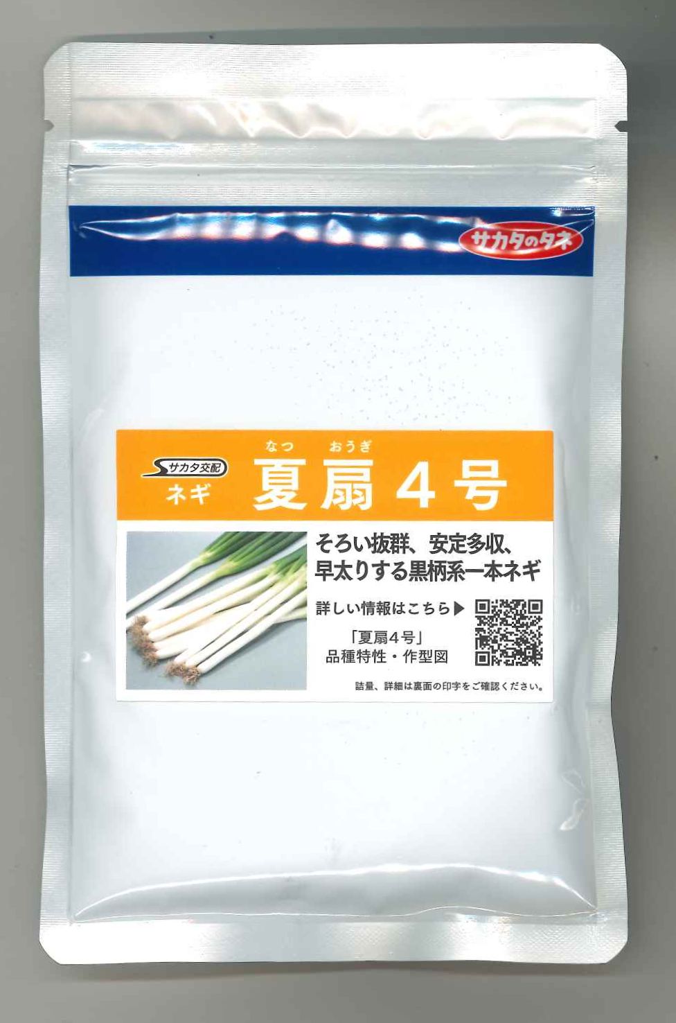 ねぎ 夏扇4号 1デシリットル(裸内果皮) (株)サカタのタネ [内果皮/蔬菜]