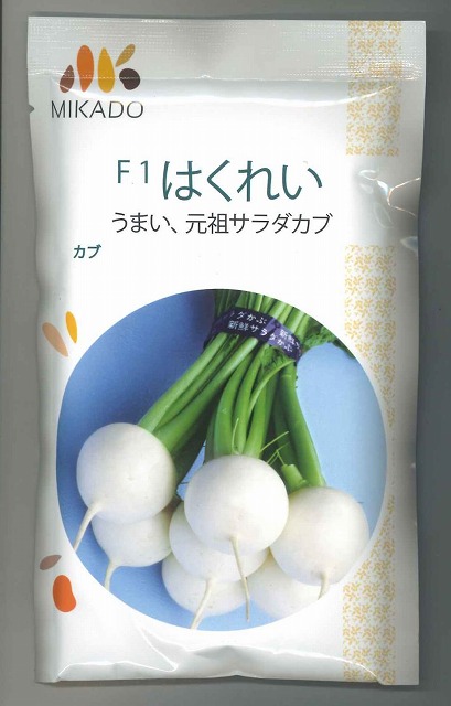 かぶ はくれい(サラダ菜坊や) 1デシリットル ヴィルモランみかど（株） [内果皮/蔬菜]