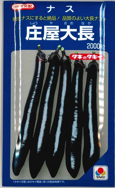 なす 庄屋大長 2000粒 タキイ種苗(株) [内果皮/蔬菜] 花・ガーデン・DIY-野菜の種子