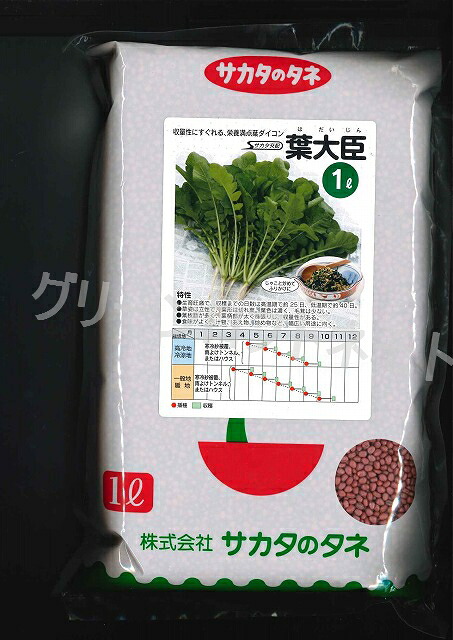 葉ダイコン 葉大臣 1L (株)サカタのタネ [種子/野菜]