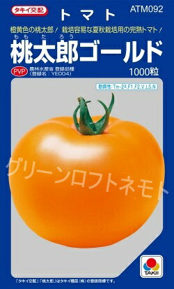 大玉赤茄子 桃太郎ゴールド 1000粒 タキイ種苗(株) [内果皮/蔬菜]