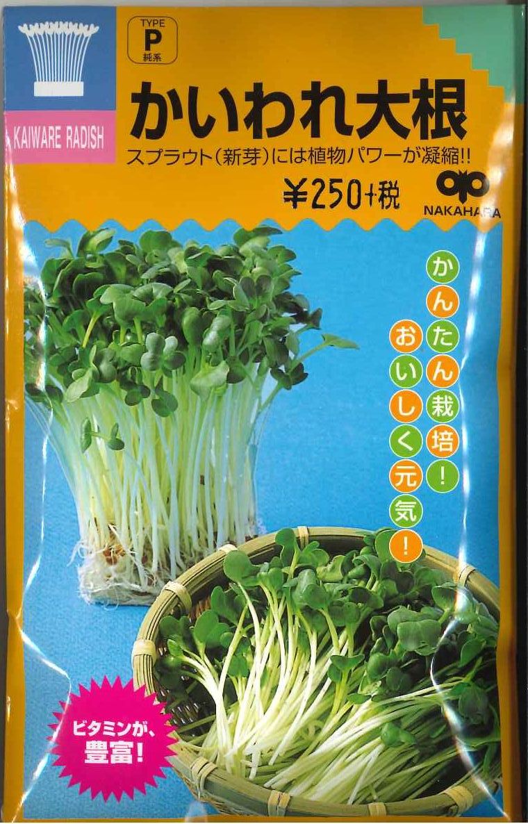 楽天市場】野菜種子「かいわれ大根」30ml／1L（中原採種場）【送料込み