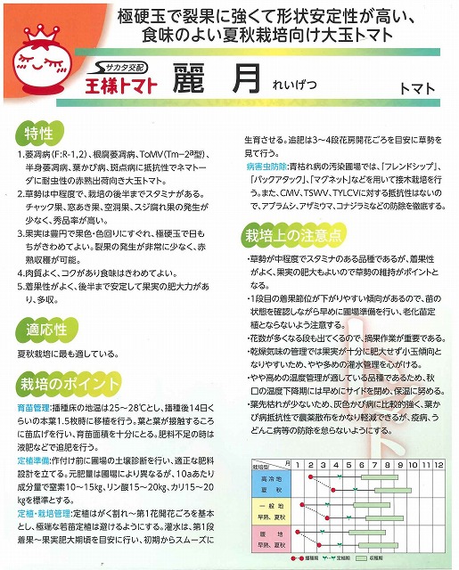 ガーデニング 農業種子野菜の種子極硬玉で裂果に強いトマト麗月1000粒サカタ交配 グリーンロフトネモト