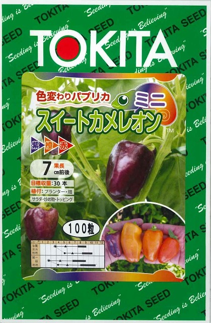 ピーマン ミニパプリカ スイートカメレオン 100粒 トキタ種苗(株) [種子/野菜]