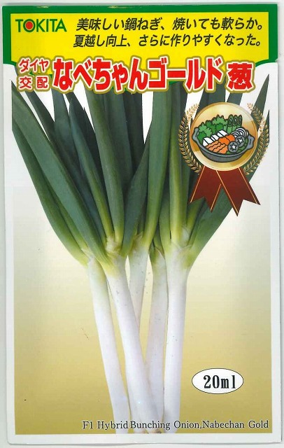 楽天市場】ねぎ 名月一文字 6ml （2025年5％増量）タキイ種苗(株