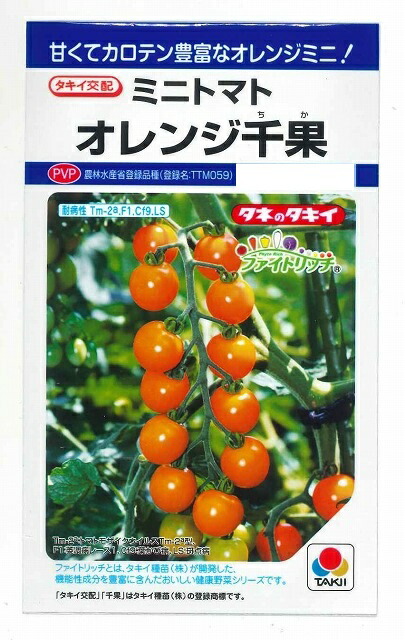 とまとです Yellow Mini - Cherry Tomato Seeds | Johnny's Selected Seeds
