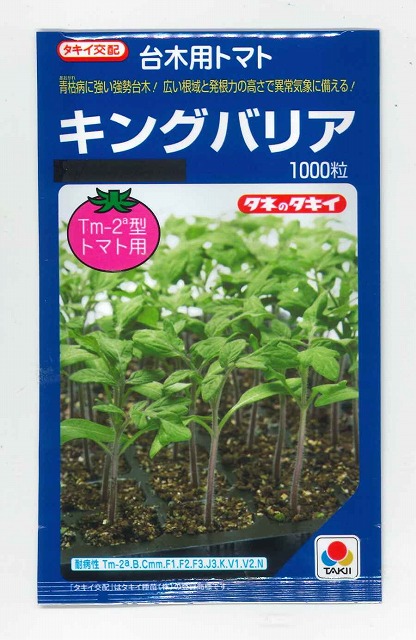 台木 (トマト用) キングバリア 1000粒 タキイ種苗(株) [種子/野菜]｜グリーンロフトネモト