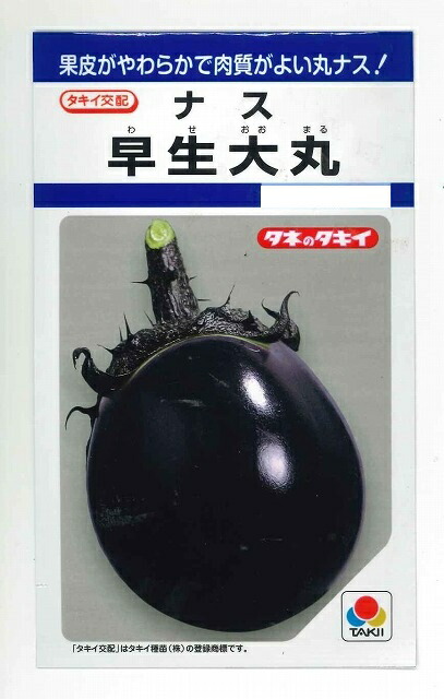 楽天市場】なす くろわし 60粒 タキイ種苗(株) DF [種子/野菜