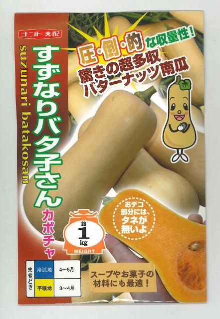 かぼちゃ すずなりバタ子さん 100粒 ナント種苗（株） [種子/野菜]