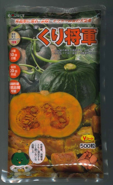 かぼちゃ くり将軍 500粒 トキタ種苗(株) [種子/野菜]