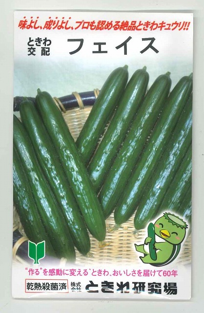 きゅうり フェイス 350粒 (株)ときわ研究場 [種子/野菜]｜グリーンロフトネモト