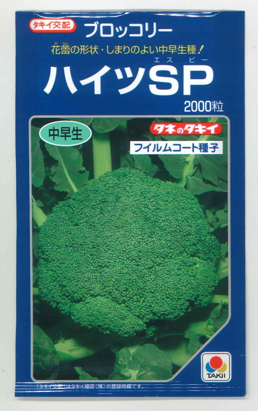 楽天市場】ブロッコリー おはよう 2000粒 (株)サカタのタネ : グリーン
