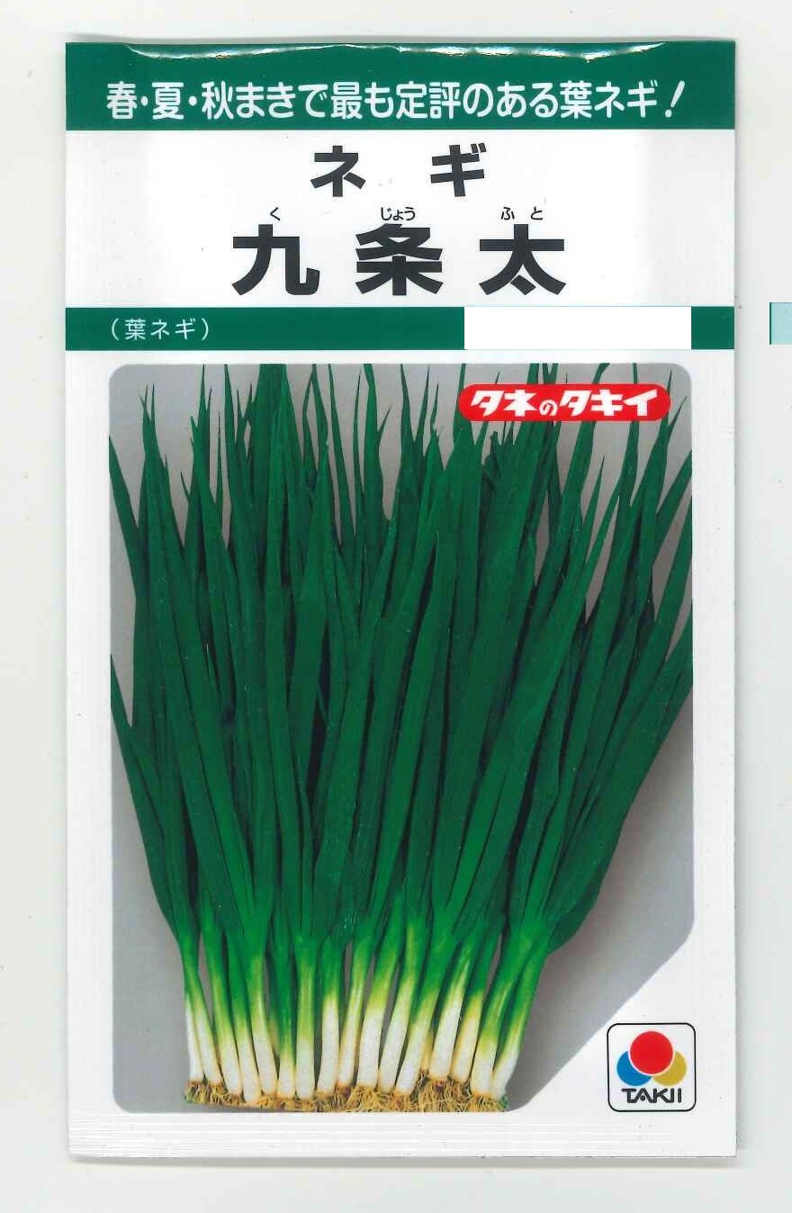 ネギちゃん 楽天市場】ねぎ なべちゃんゴールド葱 5ml トキタ種苗(株) [種子/野菜