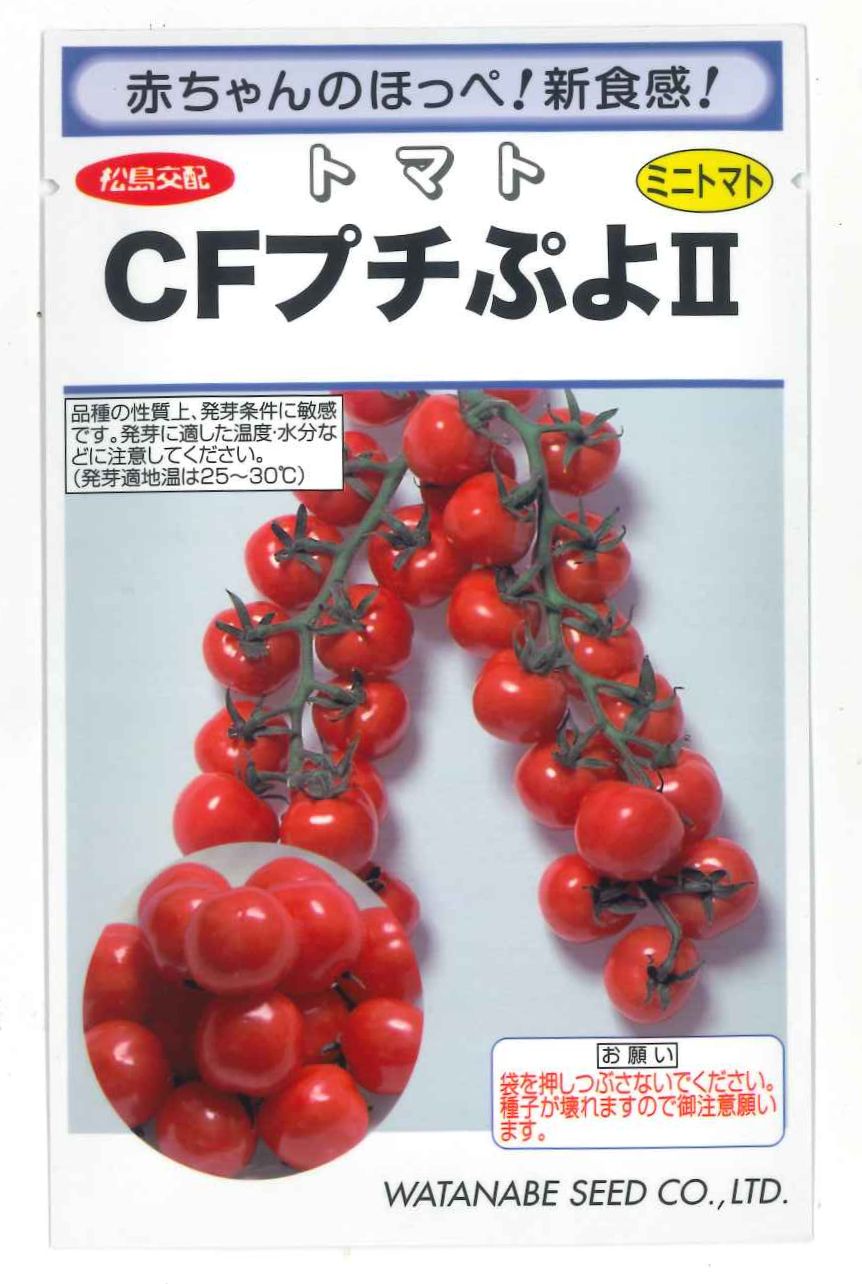 とまと様 楽天市場】トマト 桃太郎ゴールド16粒 タキイ種苗(株)DF